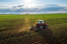 MERCADO DE TRABALHO: Agroindústria contribui para estabilidade na população ocupada no agro