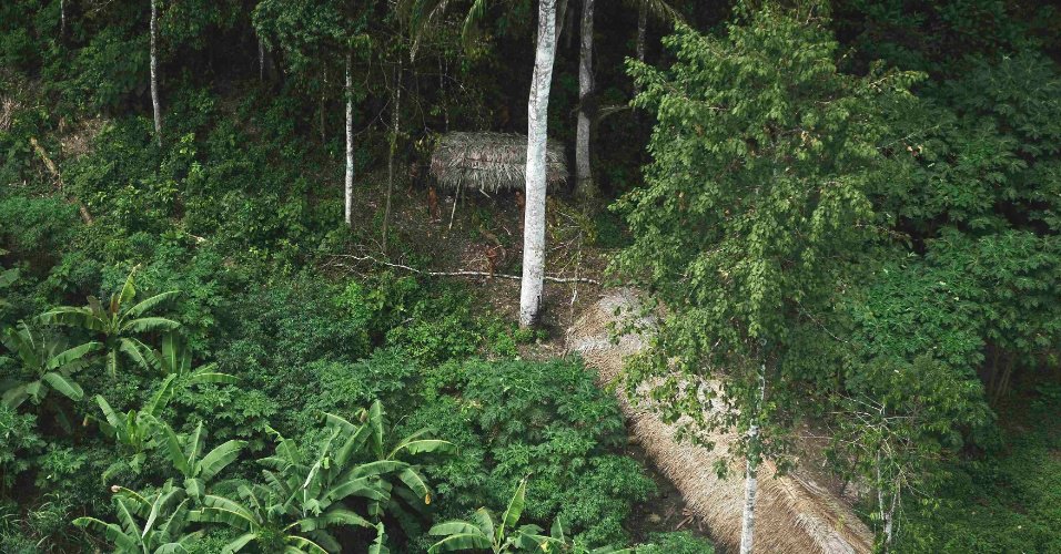 Caçadores desaparecem em região de selva e familiares acionam Bombeiros