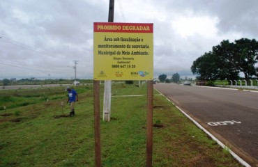 Depredação é principal problema para manutenção das plantas nas avenidas Jorge Teixeira e Lauro Sodré 