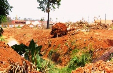 Devastação de área verde na zona Sul da capital leva Polícia Ambiental e SEMA a investigar proprietário – Confira fotos