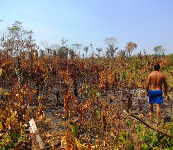 QUEIMADA – Fogo avança em comunidade rural de Porto Velho 

