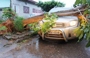 CENA DA CIDADE – Vento derruba árvore sobre automóvel em Porto Velho - Fotos