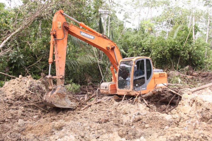 PEQUENOS PRODUTORES: Programa de piscicultura é intensificado em Cacoal