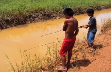 Crianças pescam de Traíra à Acará em canal de esgoto formado pelo alagamento das chuvas que caem na Capital – Fotos e vídeo
