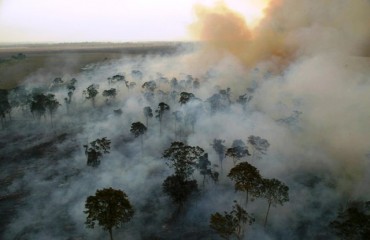 Rondônia é o segundo estado da Amazônia que mais desmatou no mês de setembro