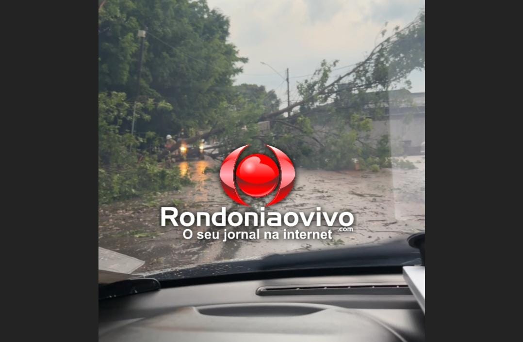 VÍDEO: Árvore cai sobre rede elétrica durante temporal próximo ao shopping