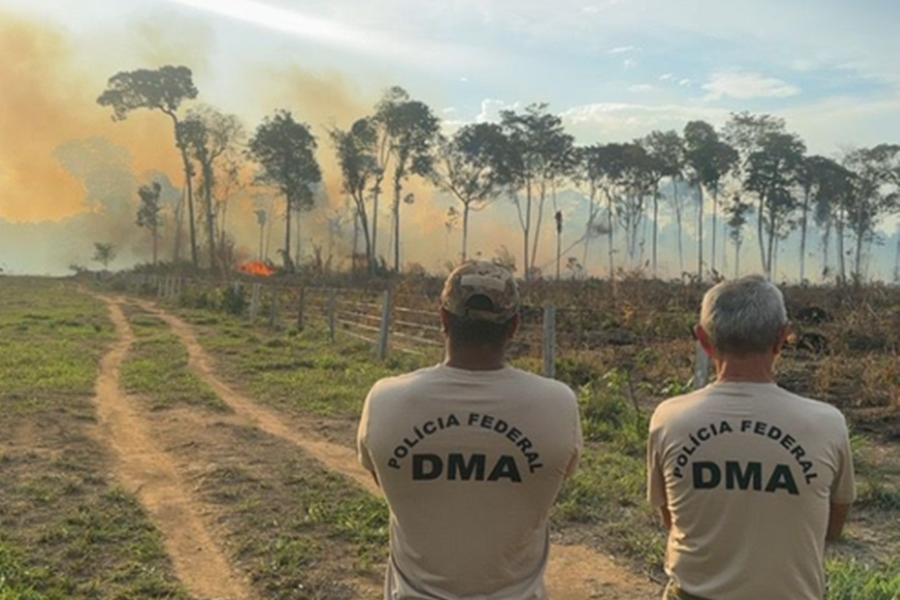 OPERAÇÃO SENTINELAS: PF prende mulher por incêndio criminoso em área de floresta em Rondônia
