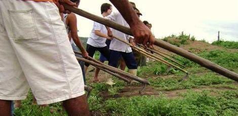 Inscrições abertas para curso gratuito de Agroecologia