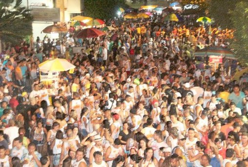 Galo canta bem alto mesmo debaixo de chuva