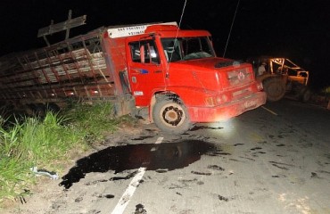 MONTE NEGRO - Caminhão boiadeiro tomba às margens da BR 421 - Fotos