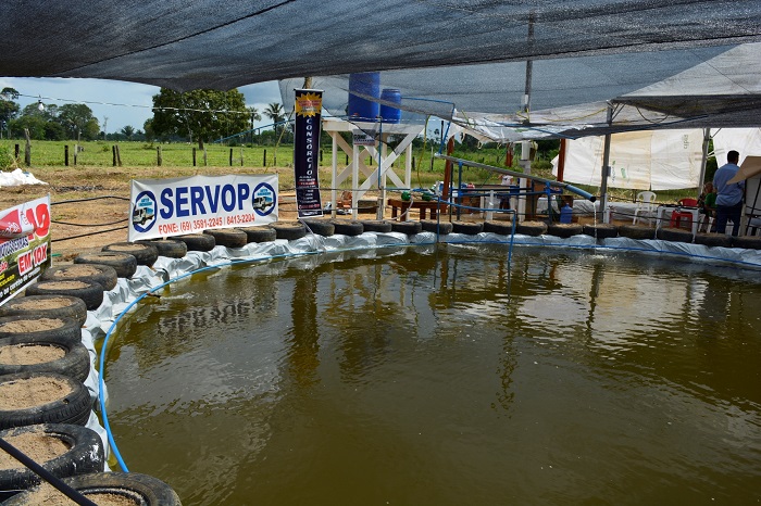 SEMINÁRIO PISCICULTURA: Produção de peixe é incentivada pelo Sebrae