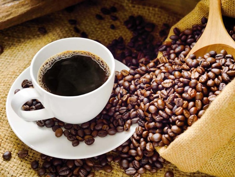 AMAZÔNIA: Maior encontro de degustadores de café foi realizado em Cacoal