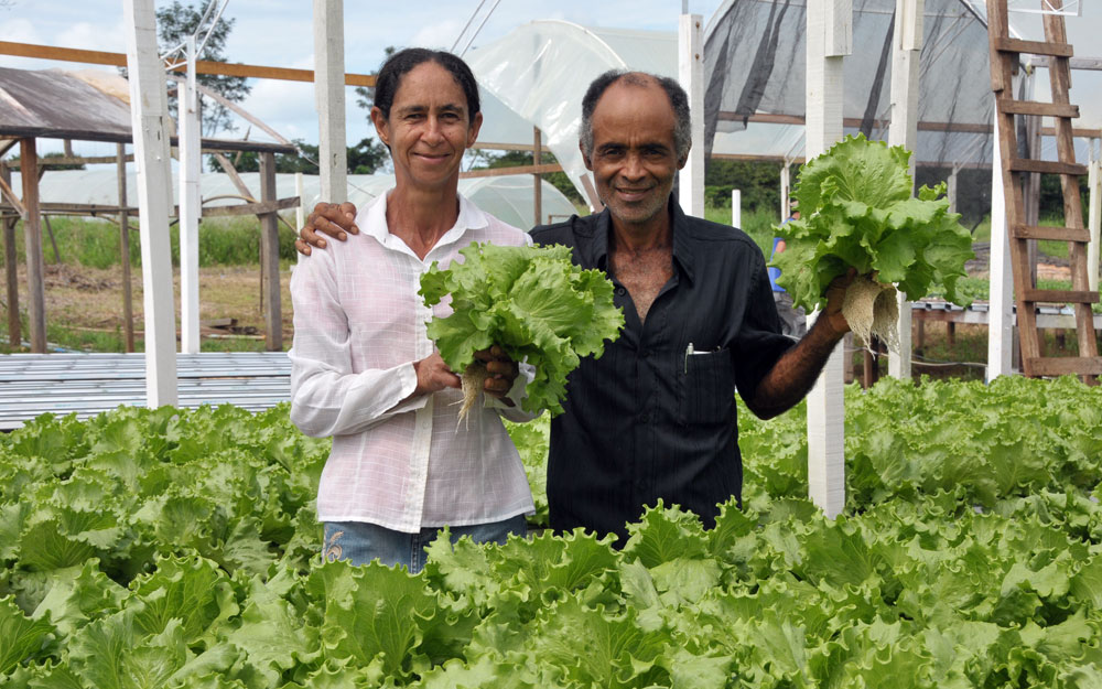 FORTALECIMENTO: Ministério da Agricultura libera R$ 4 milhões para assistência técnica e extensão rural de Rondônia