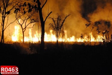 Incêndio atinge área vizinha ao cemitério municipal