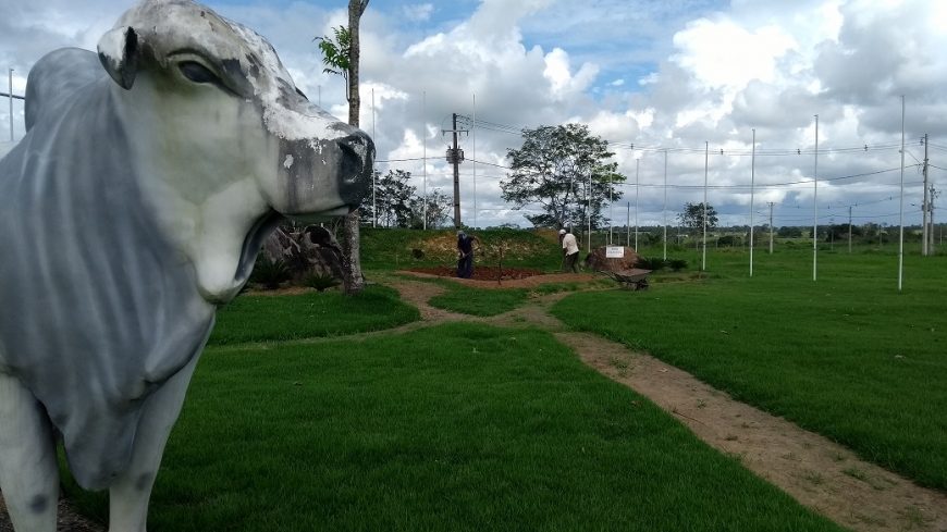 PRAÇA DAS BANDEIRAS: Peixes amazônicos são atrativos no paisagismo da 8ª Rondônia Rural Show