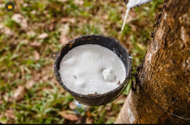 BENEFÍCIO: Soldados da borracha pedem 13º salário e proposta entra em pauta no Senado