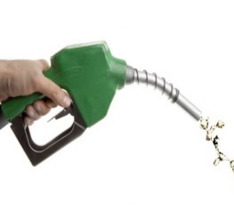 Petrobras reduz preço do diesel em 5,1% e da gasolina em 1,4%