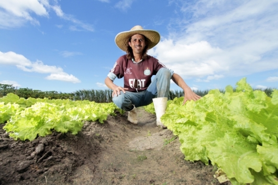 Governo concedeu 26 mil títulos de propriedades para reforma agrária em 2017