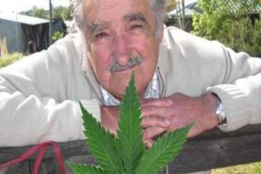 Uruguai começa venda de maconha em farmácias em março