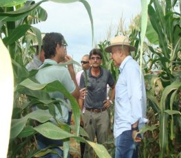 Lavoura experimental de Cacau estará na Rondônia Rural Show