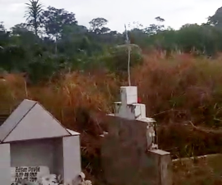 FALA PREFEITO: Matagal invade Cemitério Santo Antônio: 'temos que passar dentro da mata'