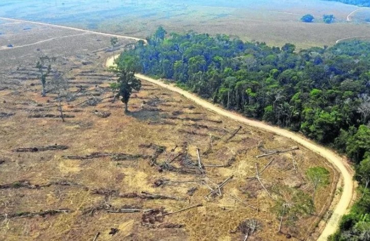 DEVASTAÇÃO: Desmatamento na região Amazônica avança em 74% no mês de abril
