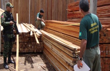 PF desmonta quadrilha formada por políticos, índios e policiais que cobrava por extração ilegal de madeira