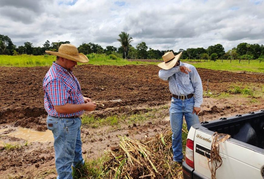  ISENÇÃO DO ICMS: Produtores rurais de RO devem planejar melhor as atividades agrícolas