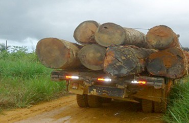 CUJUBIM - Sedam e Polícia Ambiental realizam fiscalização