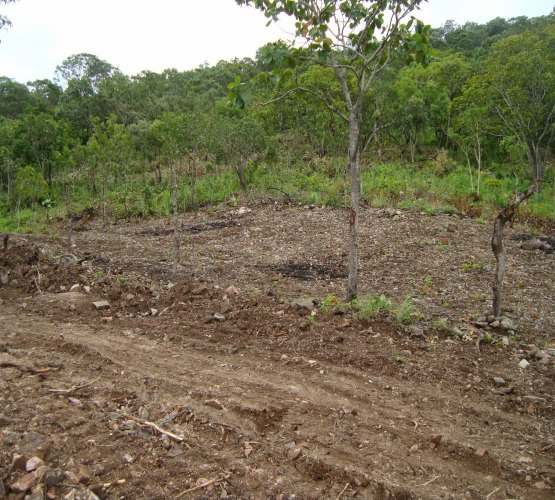 Loteamento Clandestino é alvo de ação ambiental do MP