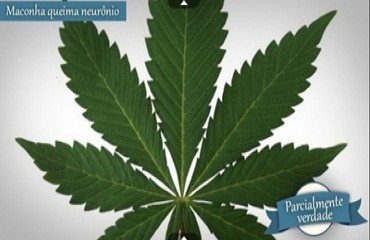 Agentes da lei se unem para defender legalização do comércio e do uso de drogas no país