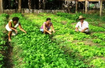 Curso de capacitação rural melhorou empreendimento, diz produtora
