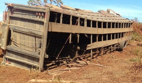 Caminhão Boiadeiro tomba em área urbana 