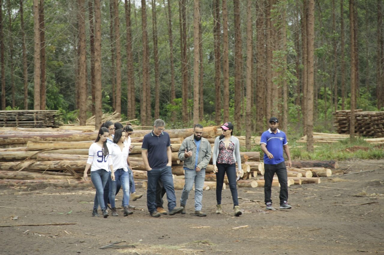 REFLORESTAMENTO: Estudantes buscam aprendizado durante o 4º Seminário de Floresta Plantada