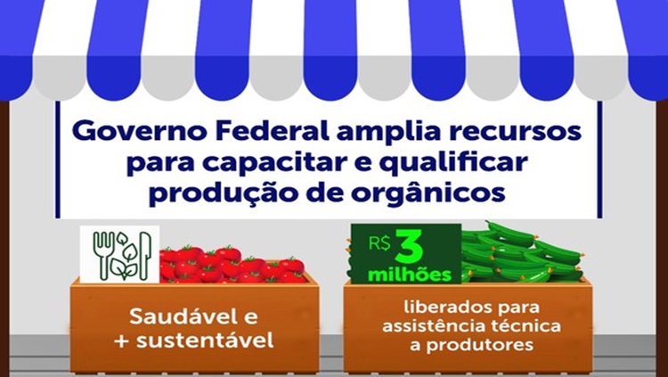 AÇÃO: Governo Federal investe na produção de alimentos orgânicos