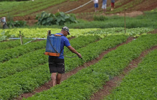 Concedida indenização por danos morais e materiais a agricultor contaminado