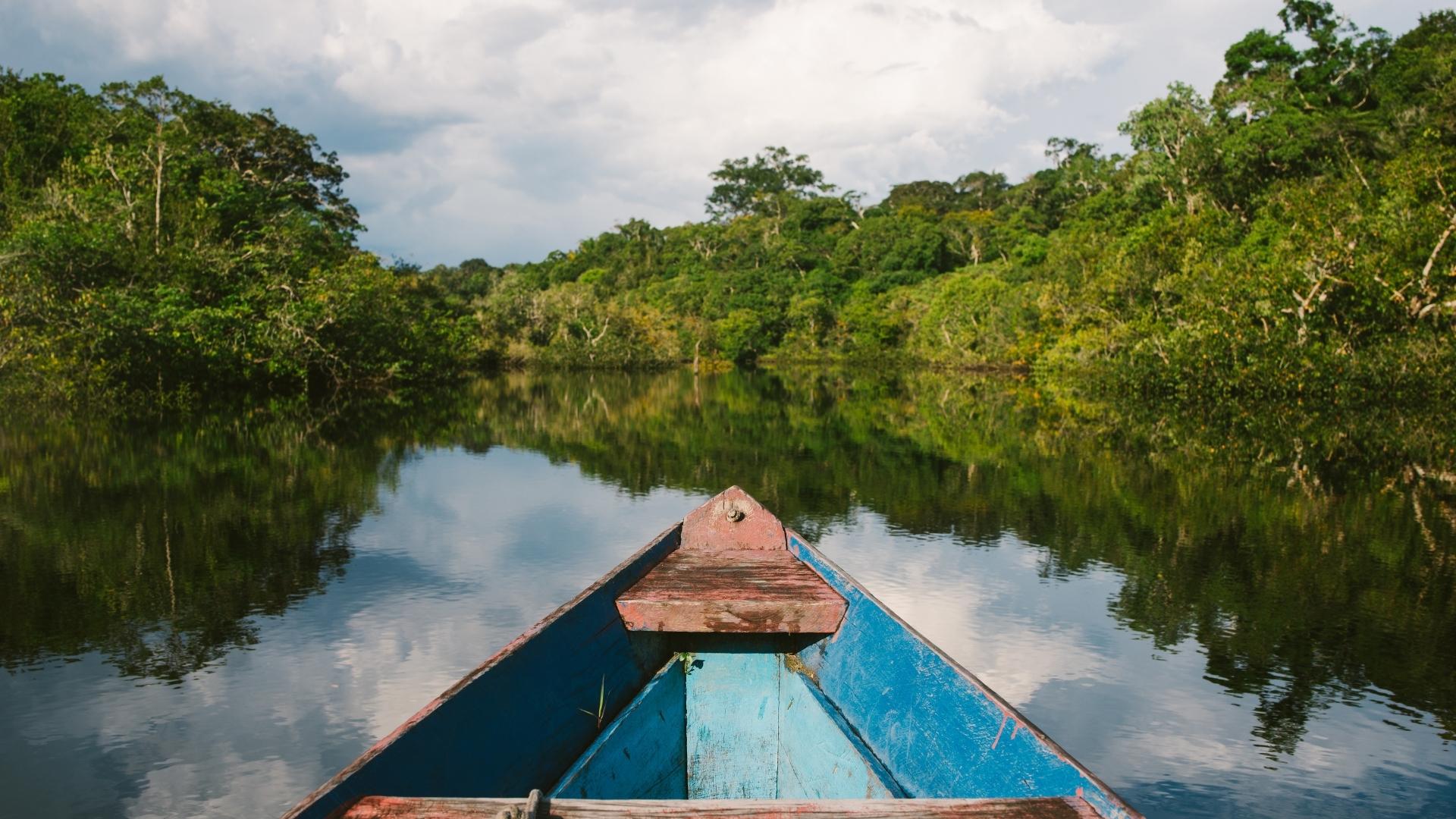 DIA DA AMAZÔNIA: Sociedade lembra a necessidade urgente de preservação do bioma