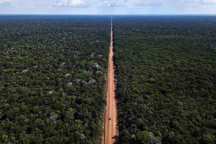 MEIO AMBIENTE: Preservação da Amazônia é prioridade do governo eleito na COP27