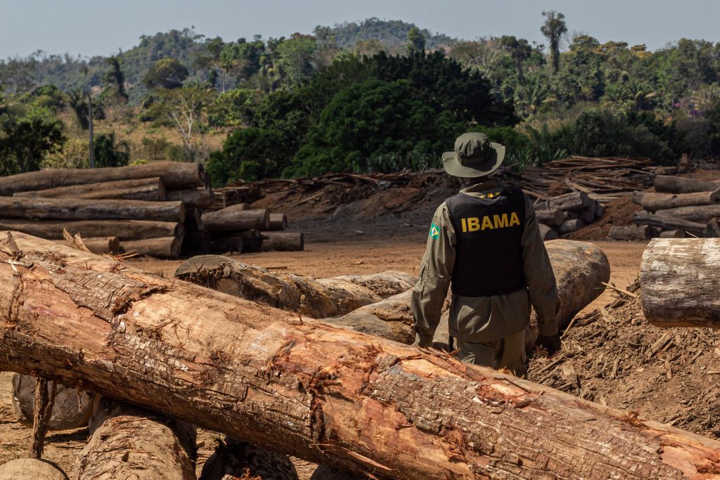 ENFREQUECIMENTO: Ibama gastou até julho somente 20% do orçamento direcionado para fiscalização