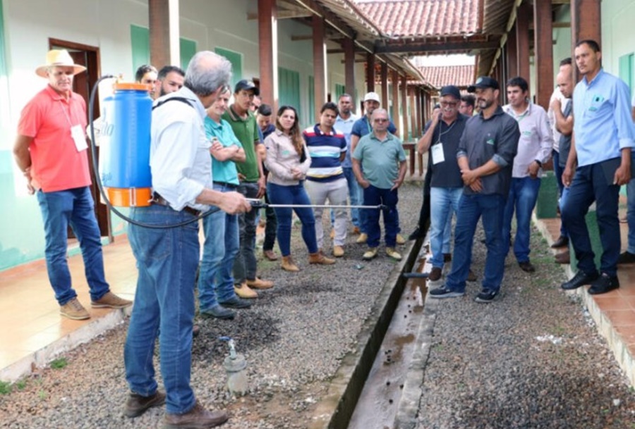 QUALIDADE: Capacitação incentiva produção de café com sustentabilidade em RO