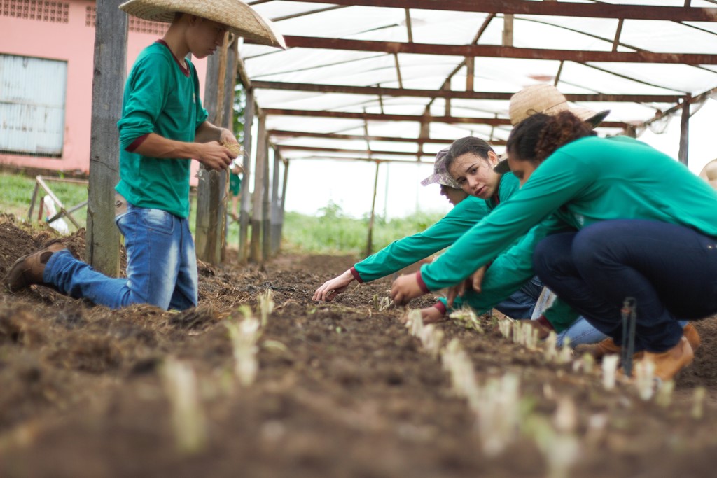 EDUCAÇÃO RURAL: Escola Abaitará oferece formação técnica para jovens de Rondônia