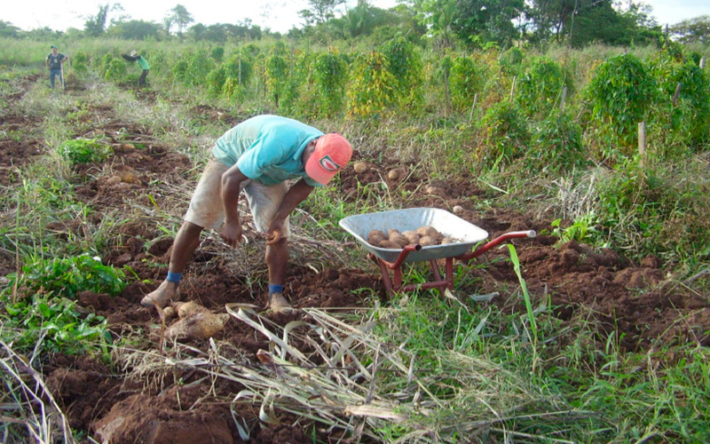 PEQUENOS PRODUTORES: Famílias recebem incentivos para fomentar as atividades rurais