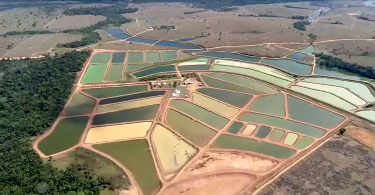 PATROCÍNIO: Agrofish Nova Aurora está na segunda edição da Agrolab Amazônia