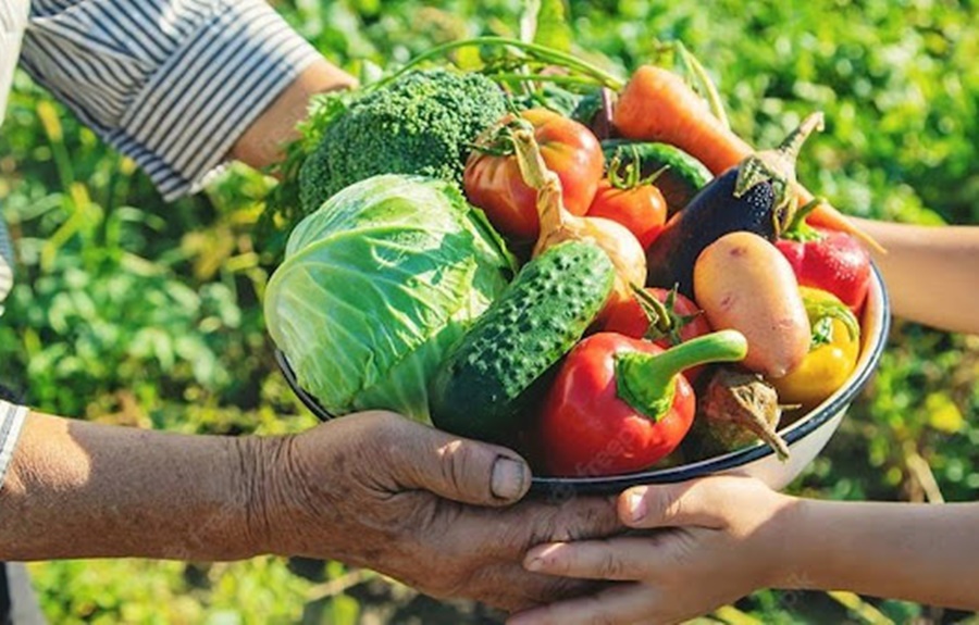 GOVERNO FEDERAL: Deputada lembra importância do Programa de Aquisição de Alimentos