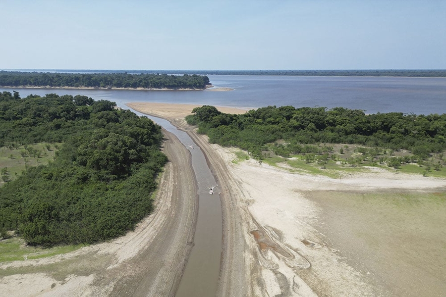 ALARMANTE: Amazonas declara emergência ambiental e de saúde por queimadas e seca