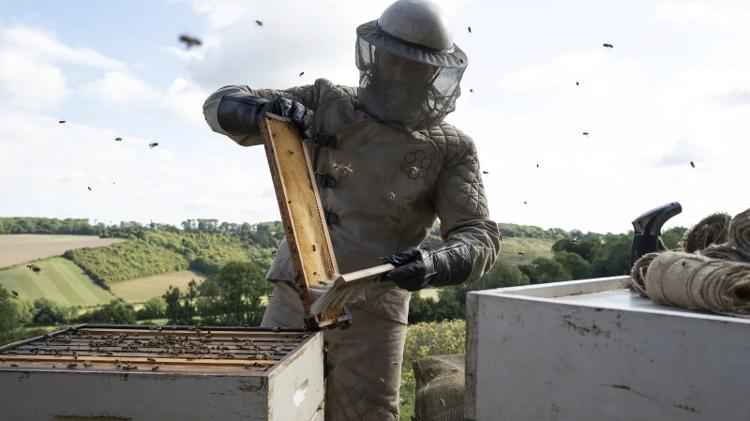 DICA DE FILME: Beekeeper, com Jason Statham – Por Felipe Corona