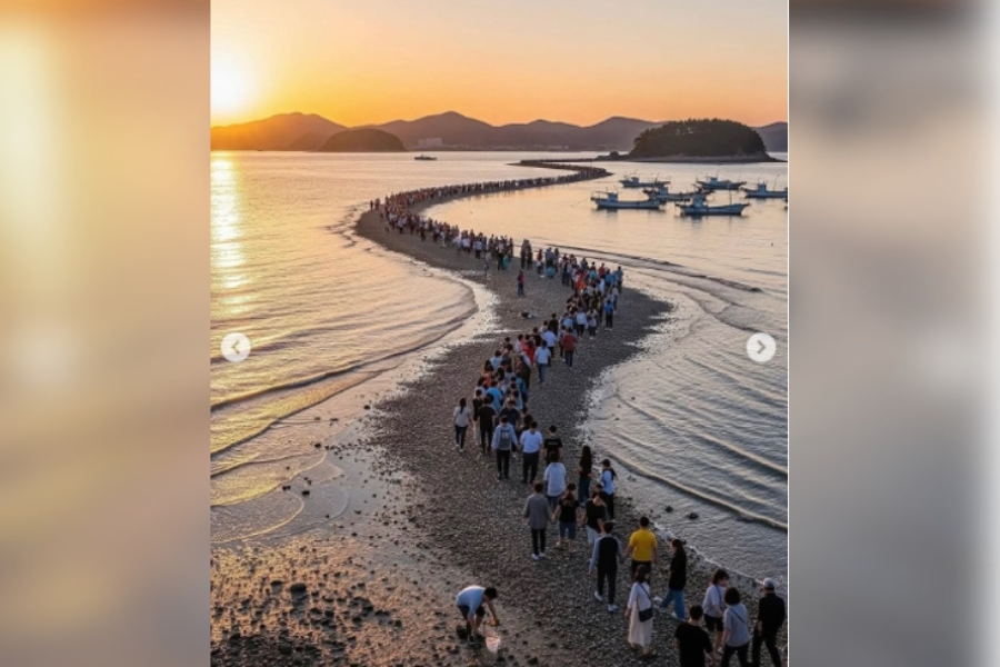 MILAGRE DO JINDO: Fenômeno raro abre o mar e atrai visitantes do mundo inteiro 