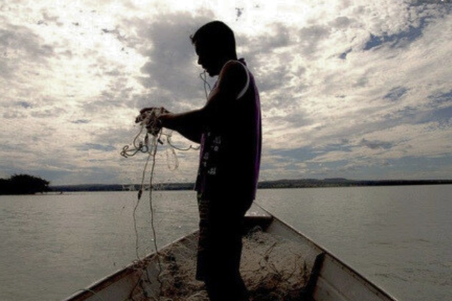 SUSPEITA DE FRAUDES: Ministério suspende 35 mil licenças de pescadores profissionais por fraude