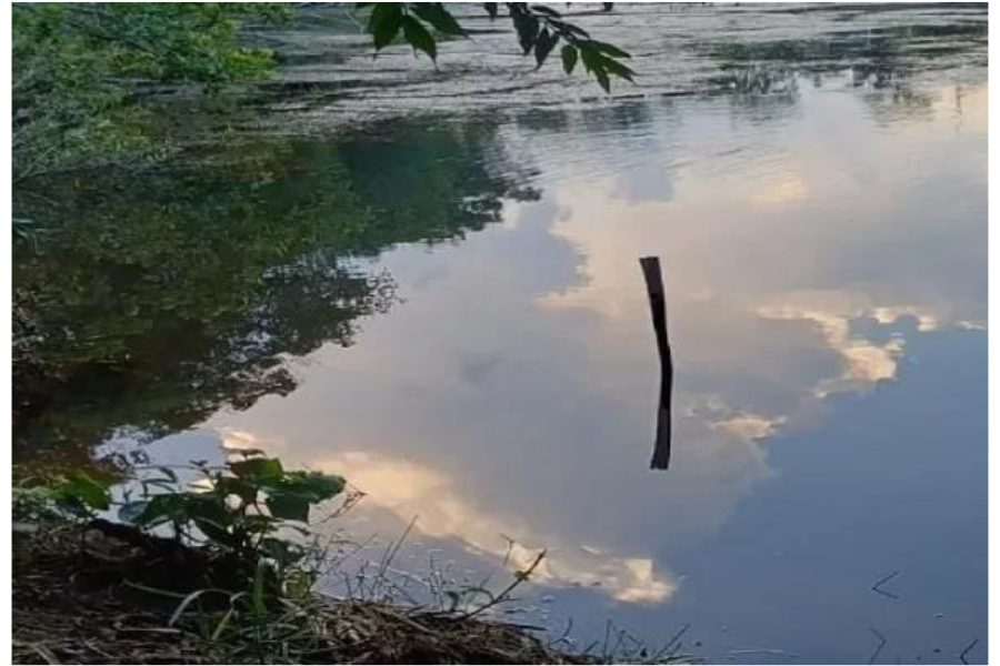TRÁGICO: Criança de dois anos morre após se afogar em represa