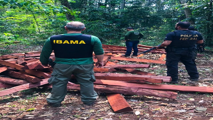 TERRA INDÍGENA: PF deflagra operação contra o desmatamento ilegal de florestas protegidas